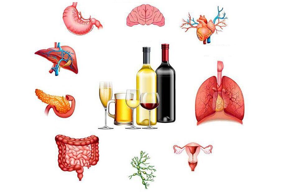 alkohola ietekme uz ķermeni